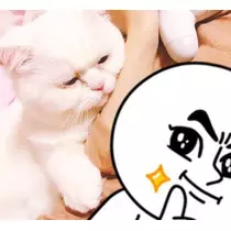 NATSUMI
