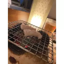 桜乃 咲美