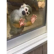 みあ