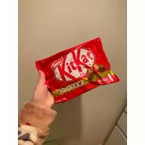 さくら