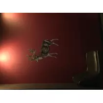 如月 凛