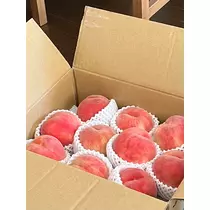 緑 四葉