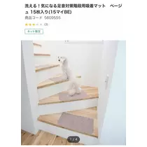 七星 夏純