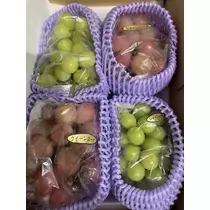 白石 愛莉