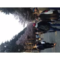 蓮見 リア