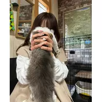 さやか