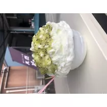 美月