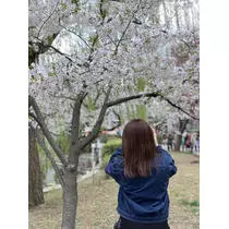 ゆうな