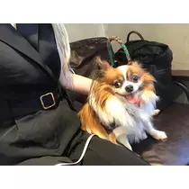 あいら