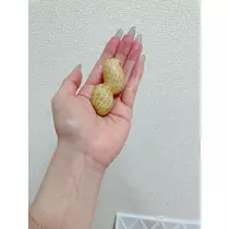 智華