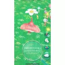 かれん