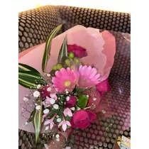 白石 愛莉