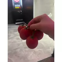 あこ