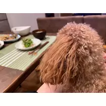 まいか