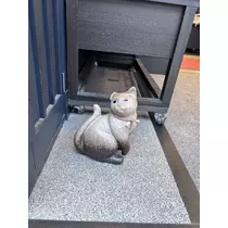 あおい