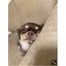 ありさ♡