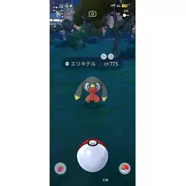 小川 真央