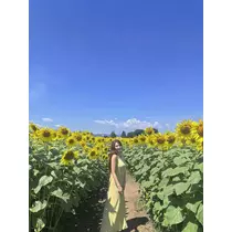 ありさ