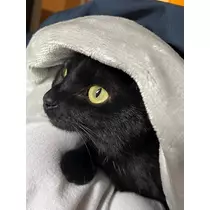 こう