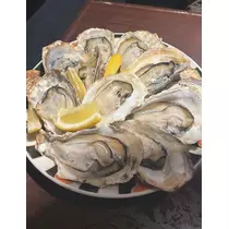 佐野 エマ