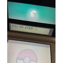 七星 夏純