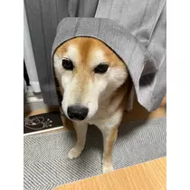 みり