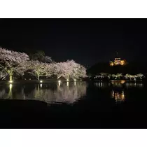 さつき