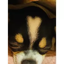 長瀬 純恋