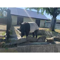 あおい