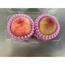 えりか