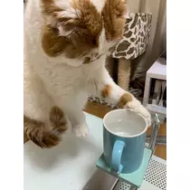 れみ