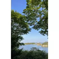 みさ