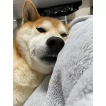 みり