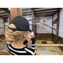 あいら