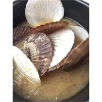 蓮見 リア
