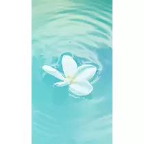 成海 まお