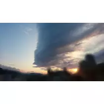 らん