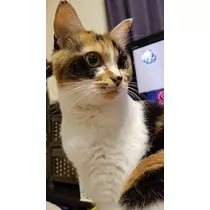 りか