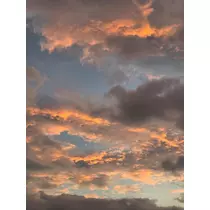 ほのか