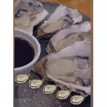 七星 夏純