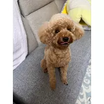 あいりちゃん