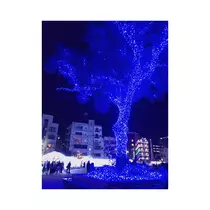 すず