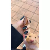あめ ．