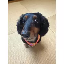 なつき