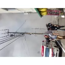 蓮見 リア