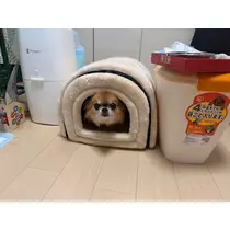 めい