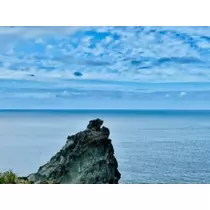 ゆかり