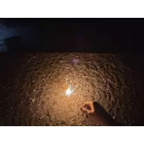 あみ