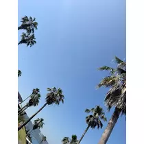 とわ