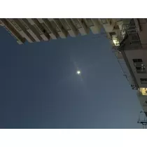 もも